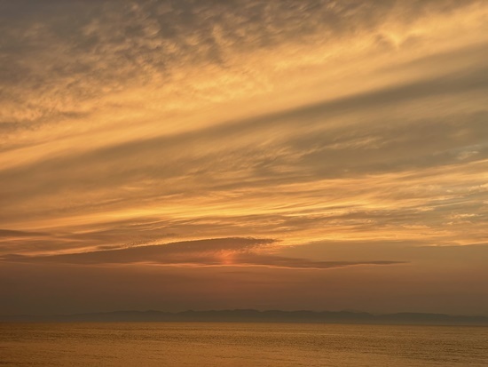 RMW44AA3ED6-6054-4B97-B730-EBDA103951F2.jpg