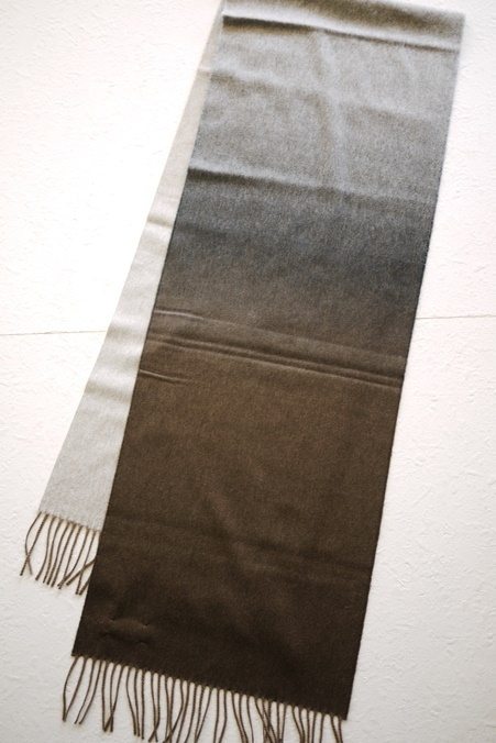RMWP1160119.JPG