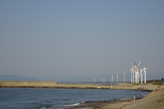 tas sDSC05520-014.JPG