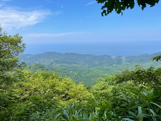 tas sIMG_9794-001.jpg