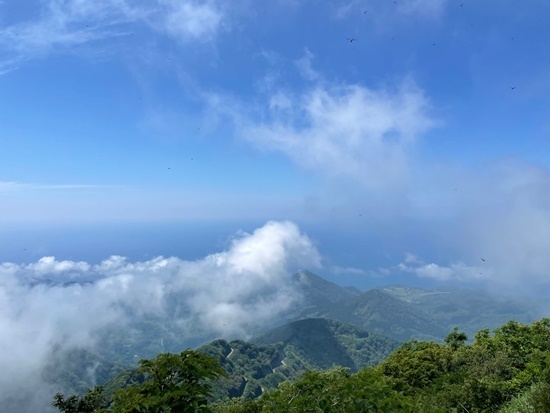 tas sIMG_9806-003.jpg